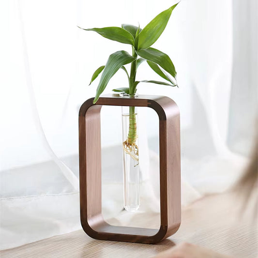 Glass Hydroponic Plant Container