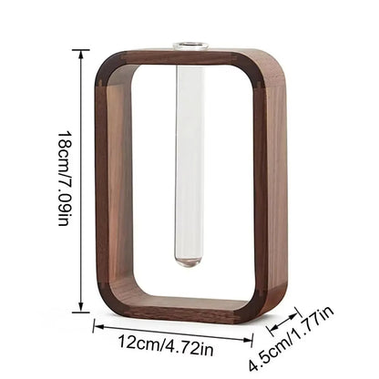 Glass Hydroponic Plant Container